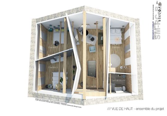 Image 1 du projet Smrcb - Renovation - Combles